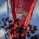 Flaga przy stadionie Widzewa (fot. Martyna Kowalska / widzew.com